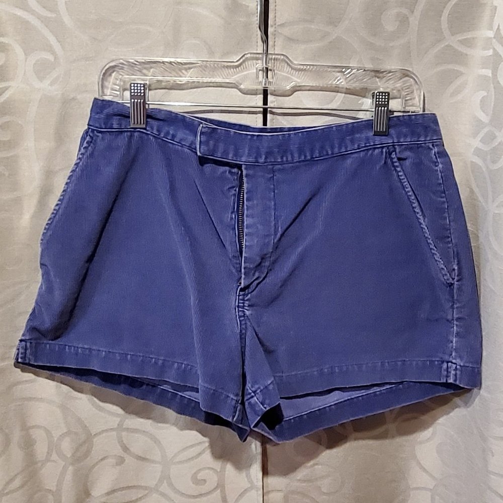 Blue Corduroy Shorts by Abercrombie & Fitch - Size 8